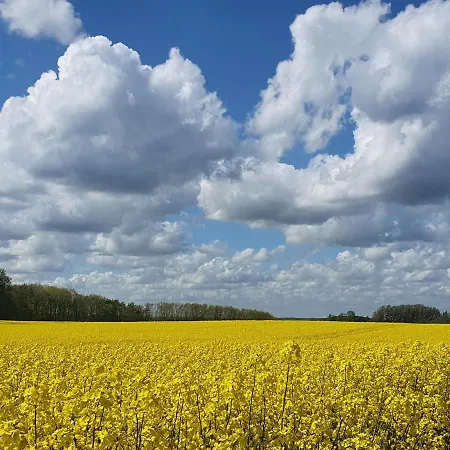 Peanuts & Hostel Surendorf