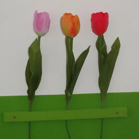 Peanuts Hostel&meer * Surendorf