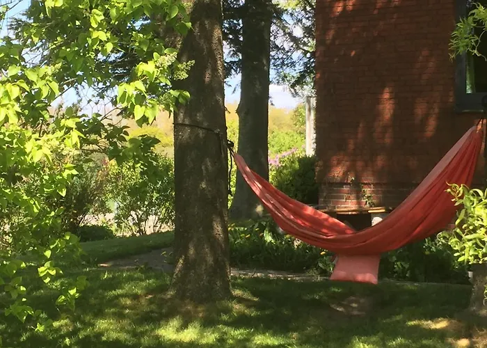 Peanuts & אכסניה Surendorf