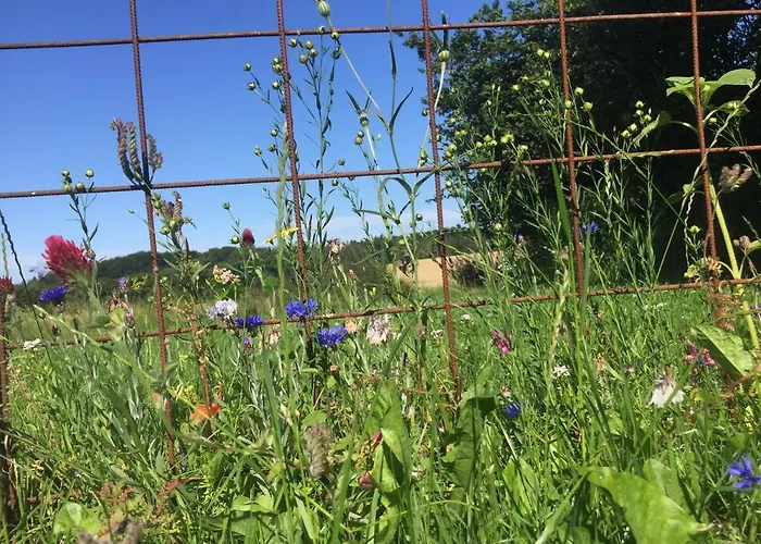 Peanuts & אכסניה Surendorf