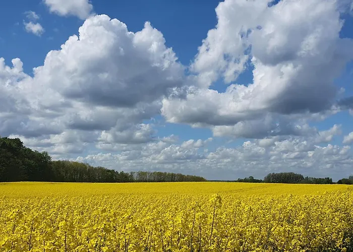 Peanuts & Hostel Surendorf