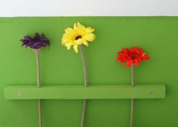 Peanuts & אכסניה