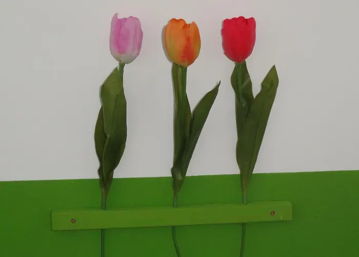 Peanuts & * Surendorf