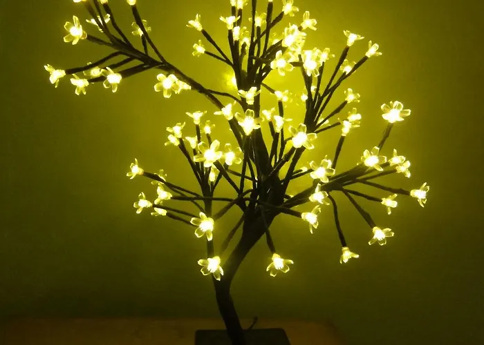 Hostel Peanuts & Surendorf