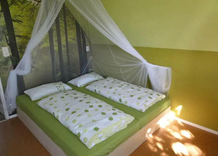 Peanuts & אכסניה