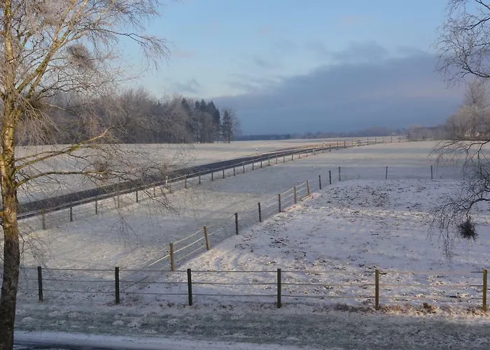 אכסניה Peanuts & *